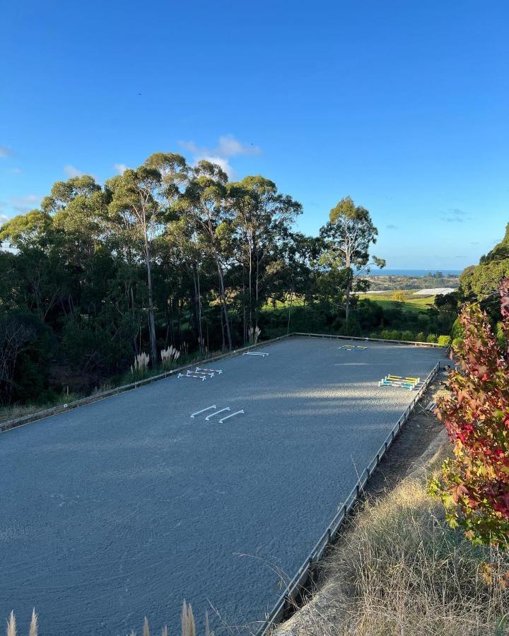 Beech Hill - Pet Friendly Holiday Home Tasman Buitenkant foto