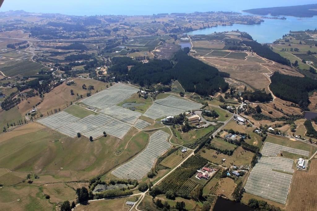 Beech Hill - Pet Friendly Holiday Home Tasman Buitenkant foto