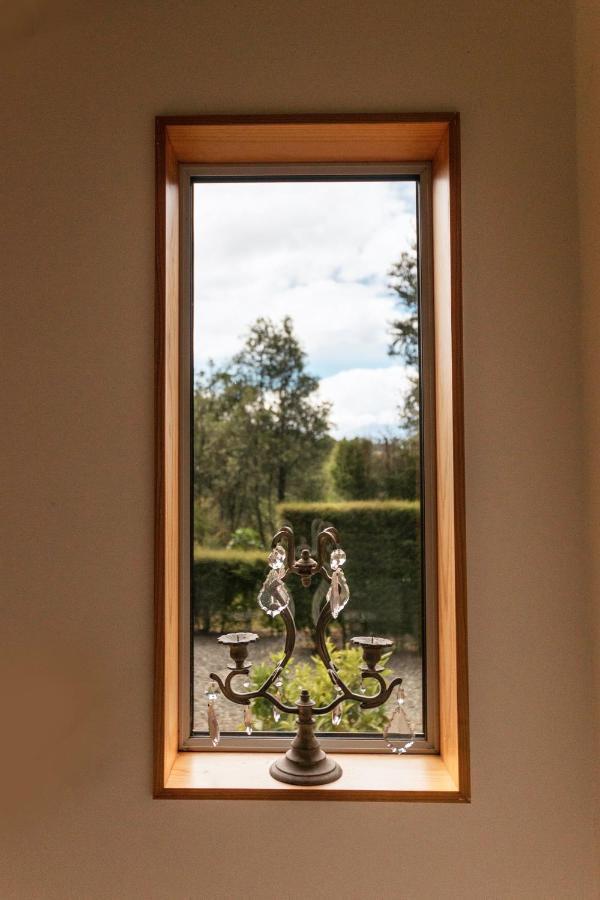 Beech Hill - Pet Friendly Holiday Home Tasman Buitenkant foto