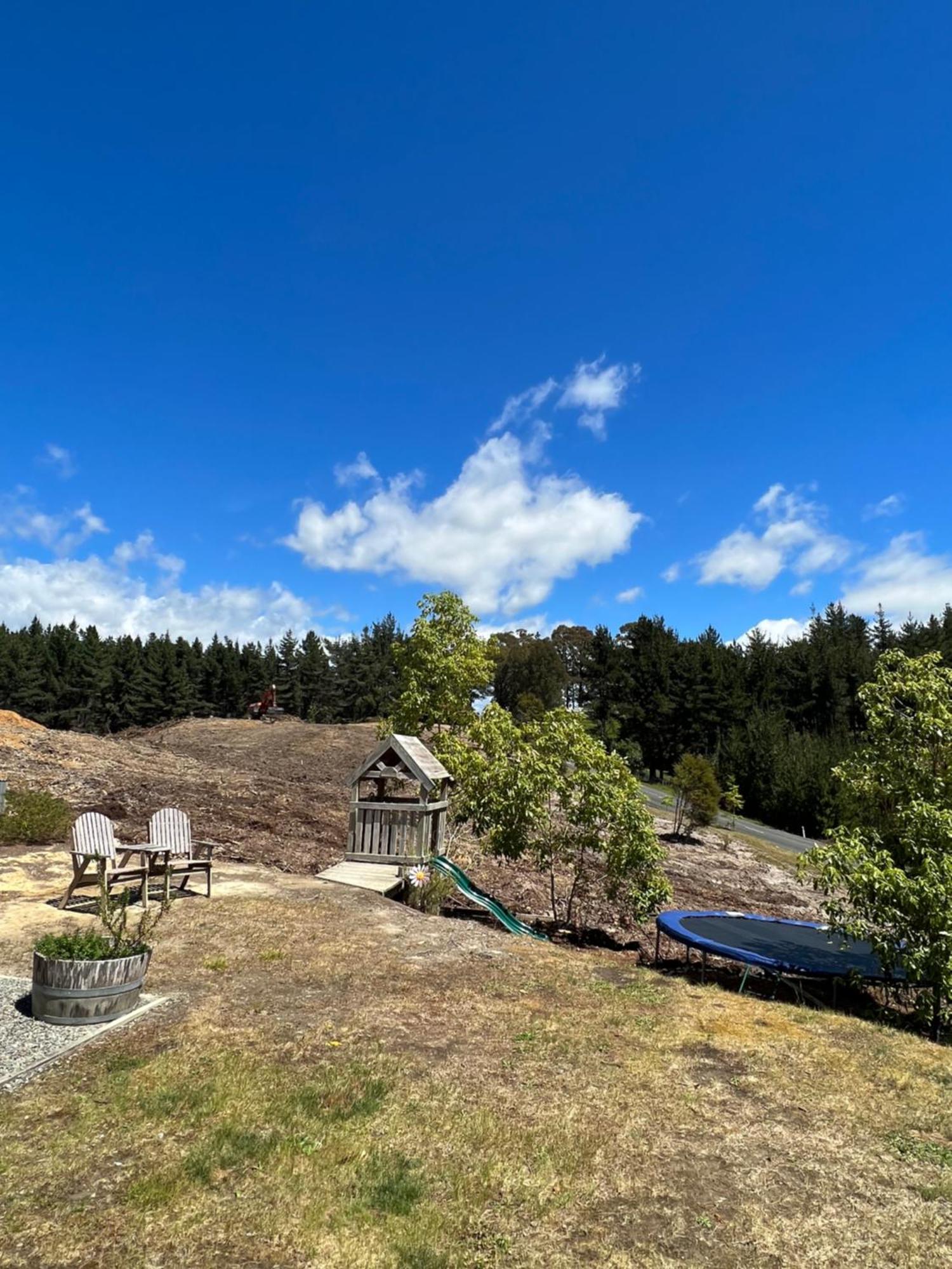 Beech Hill - Pet Friendly Holiday Home Tasman Buitenkant foto